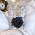 Preserved Rose [ Black ]