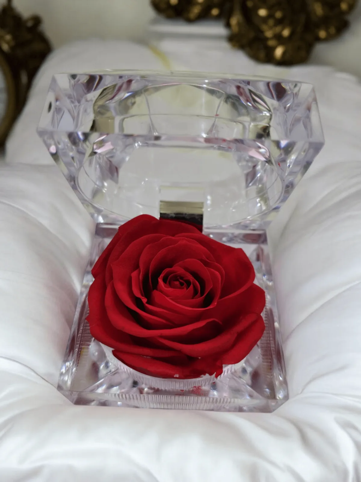 Preserved Rose [ Red ]