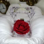 Preserved Rose [ Red ]