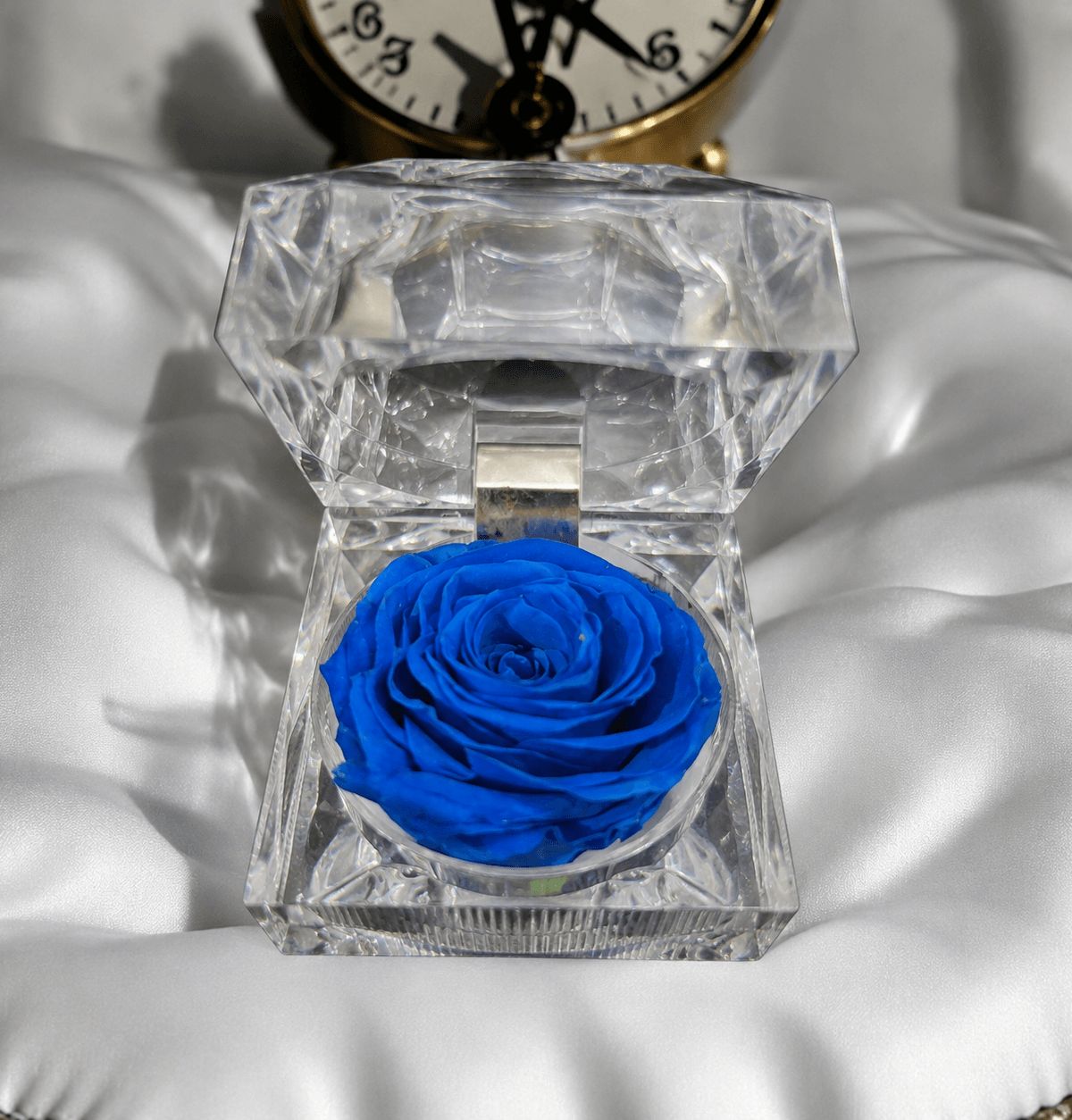 Preserved Rose [ Blue ]
