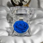 Preserved Rose [ Blue ]
