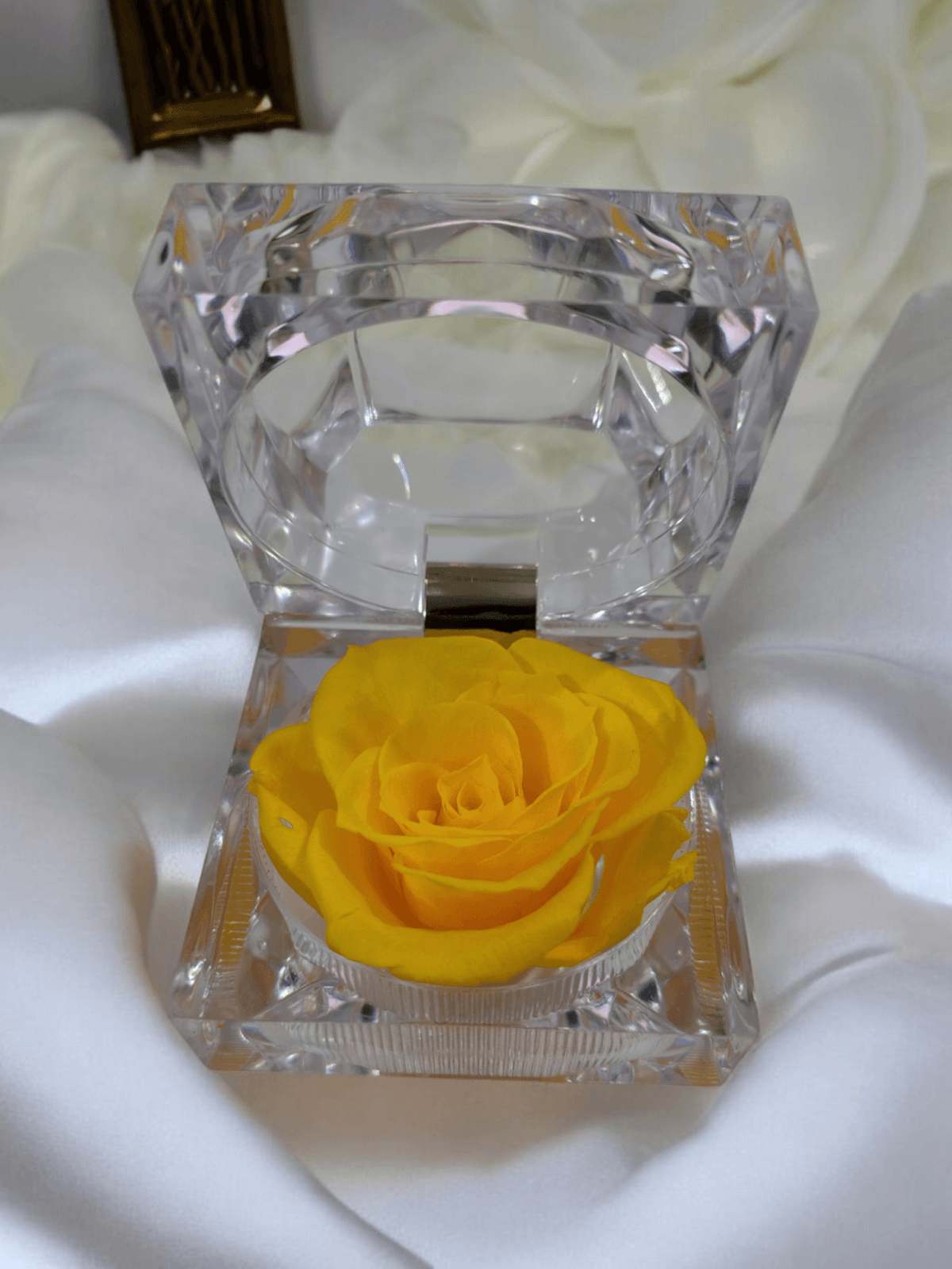 Preserved Rose [ Yellow ]