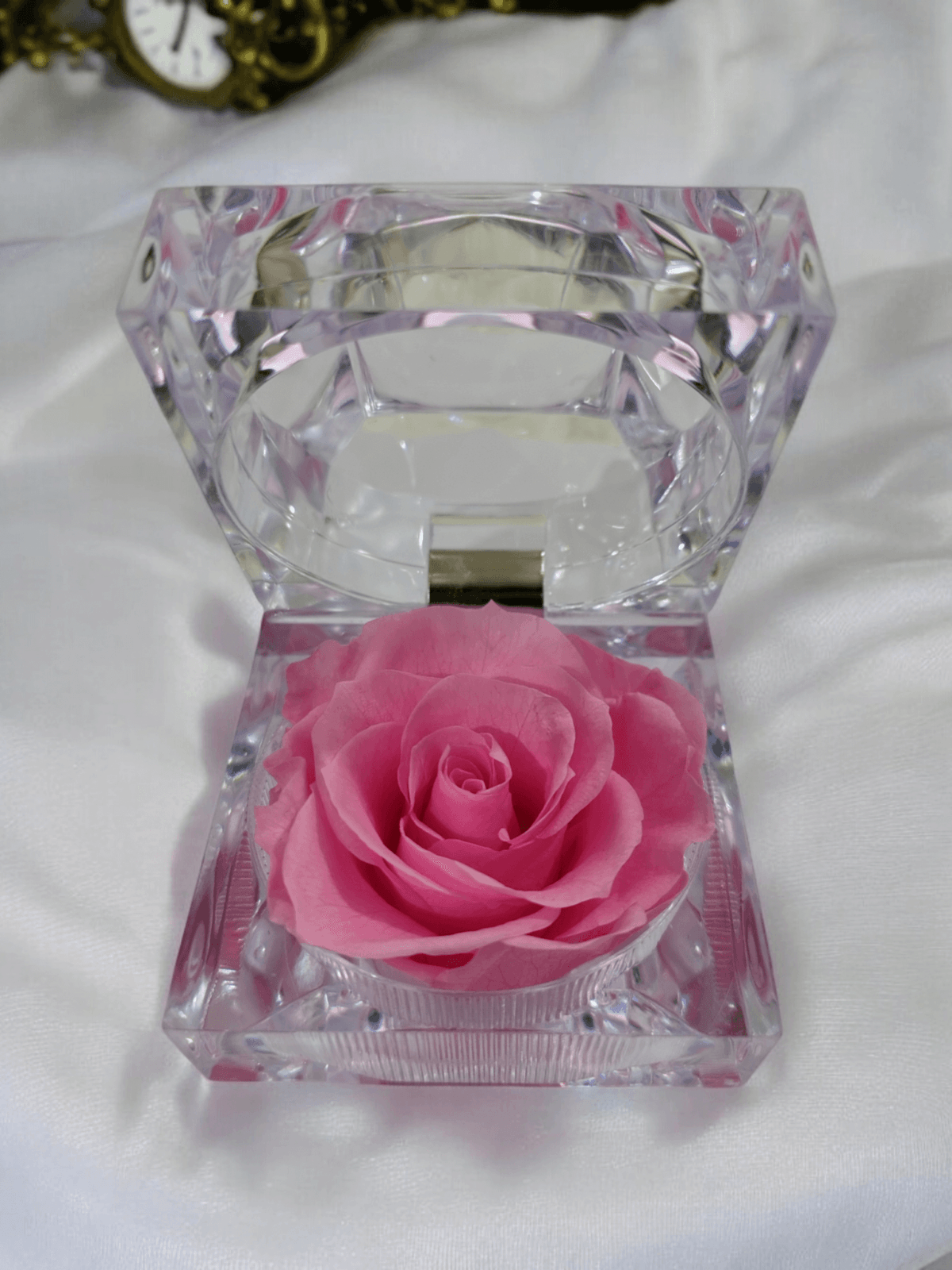 Preserved Rose [ Pink ]