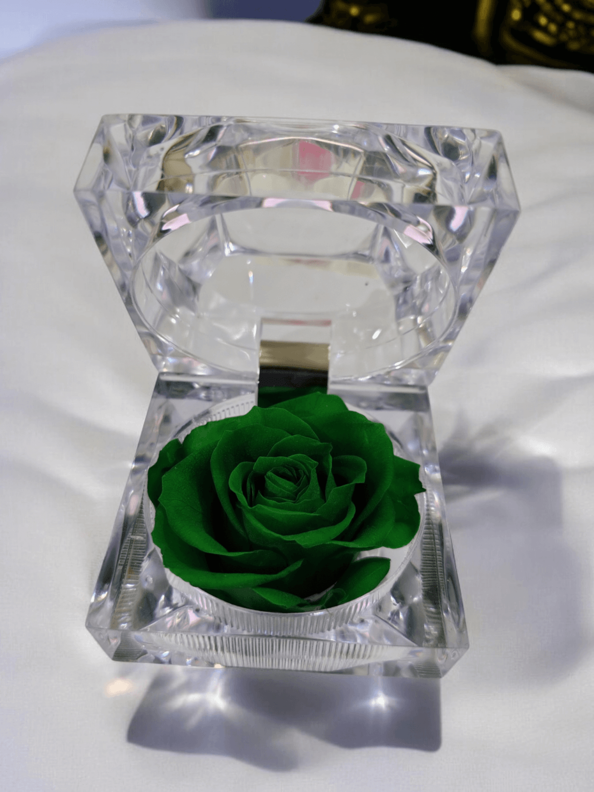 Preserved Rose [ Dark Green ]