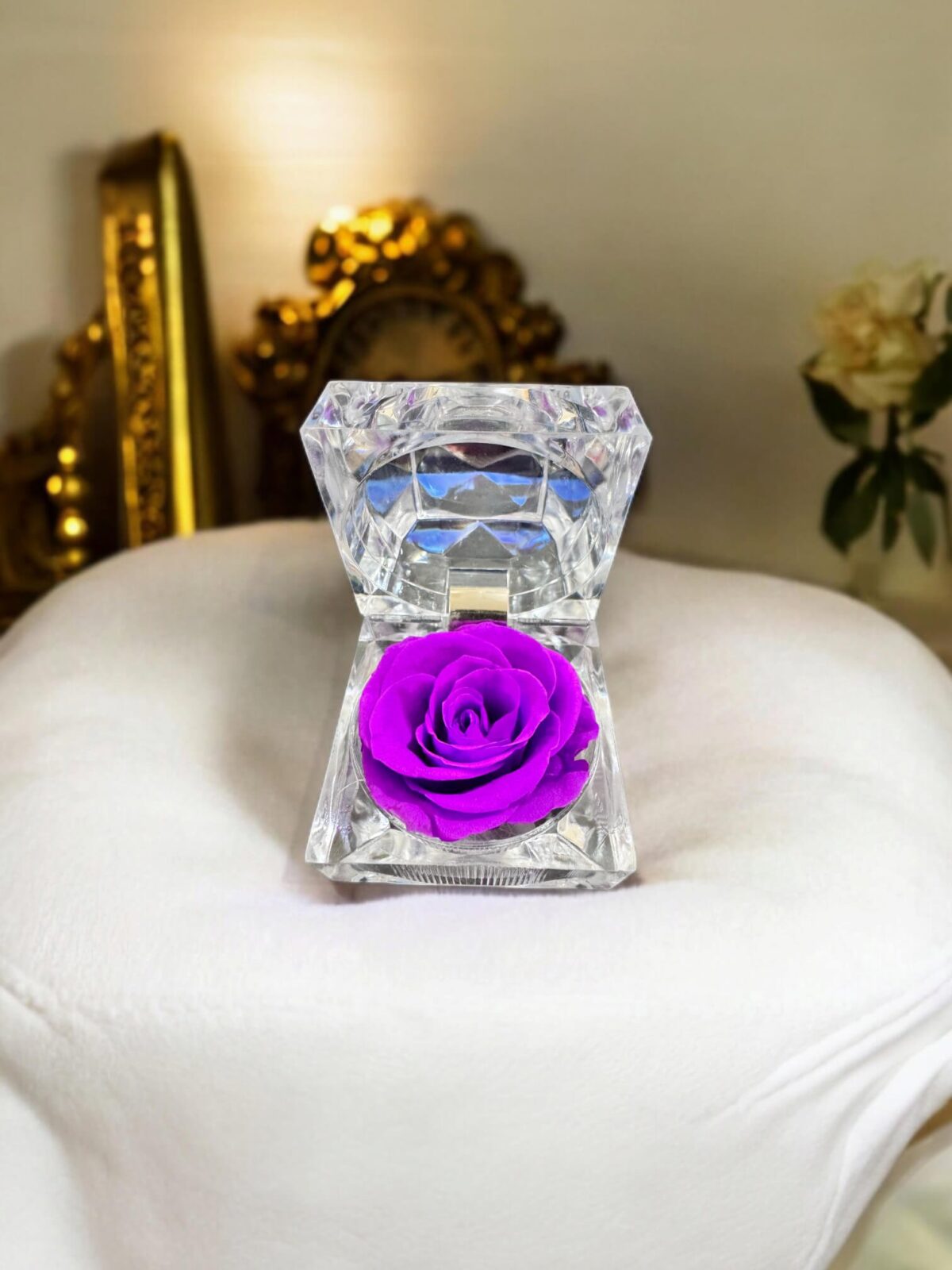Preserved Rose [Classic Purple]